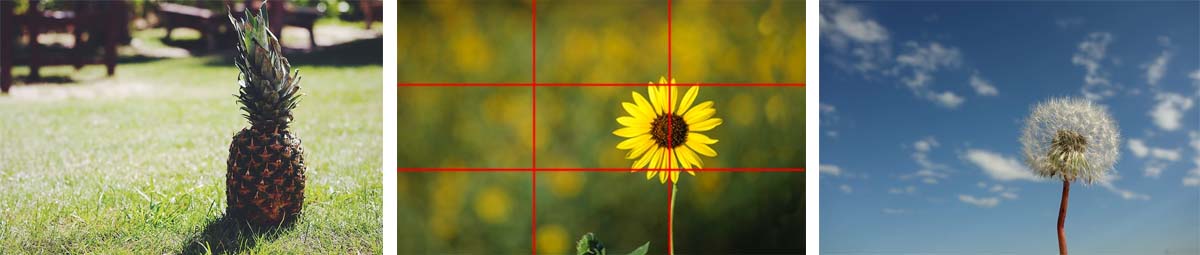 como usar instagram para tu negocio - regla tercios